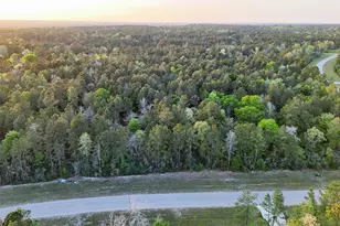 15537 Red Hawk Rd, Willis, TX 77373 - Photo 22