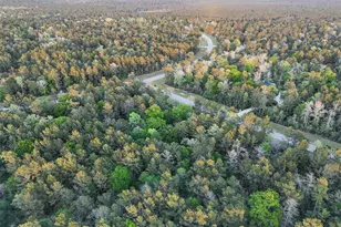 15537 Red Hawk Rd, Willis, TX 77373 - Photo 8