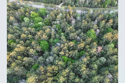 15537 Red Hawk Road, Willis, TX 77373 - Photo 6