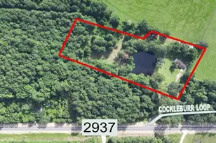 9378 Cocklebur Loop, Silsbee, TX 77656 - Photo 42