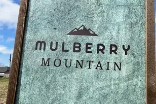 3818 Garden Hill Ln, Santa Fe, TX 77510 - Photo 38