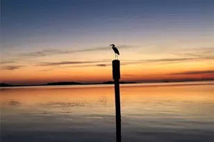 106 Isles End Rd, Tiki Island, TX 77554 - Photo 20