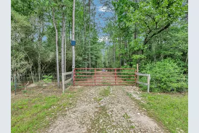 250 Nome Road, Corrigan, TX 75939 - Photo 6