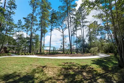 39243 Water Rail Court, Magnolia, TX 77354 - Photo 10
