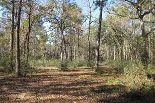 32602 Dogwood Trail, Magnolia, TX 77355 - Photo 2