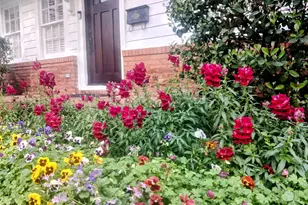 3110 Randall St, Houston, TX 77018 - Photo 4