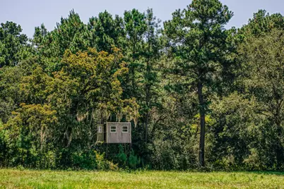 22984 Nichols Sawmill Road, Hockley, TX 77447 - Photo 40