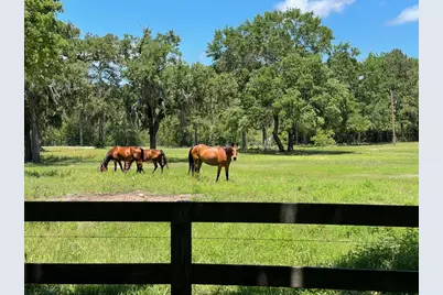 22984 Nichols Sawmill Road, Hockley, TX 77447 - Photo 38