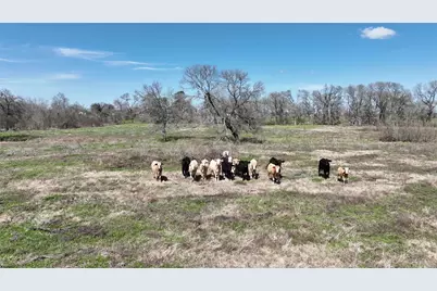40365 Mt Zion Road, Pattison, TX 77423 - Photo 22