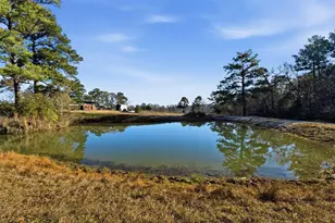 4027 Spring Branch Rd, Montgomery, TX 77316 - Photo 10