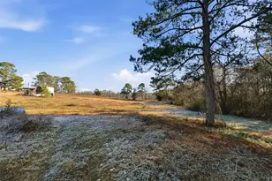 4027 Spring Branch Rd, Montgomery, TX 77316 - Photo 10
