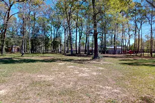 7815 Timber Switch Rd, Cleveland, TX 77328 - Photo 38