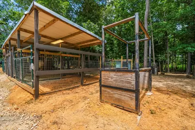 1239 Tony Peebles Road, Livingston, TX 77351 - Photo 34