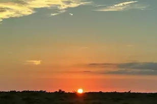 4821 Nasa Pkwy, Seabrook, TX 77586 - Photo 48