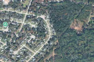 17162 Hwy 105 E, Conroe, TX 77306 - Photo 4