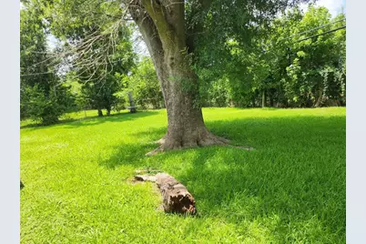 5535 Flamingo Drive, Houston, TX 77033 - Photo 16