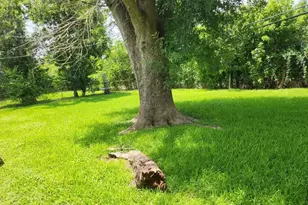 5535 Flamingo Dr, Houston, TX 77033 - Photo 16