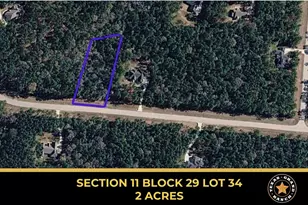 11-29-34 Grey Feather Rd, Huntsville, TX 77340 - Photo 1