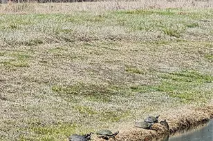 Tbd Center Dr, Cleveland, TX 77327 - Photo 1