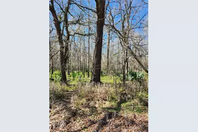 Tbd Center Drive, Cleveland, TX 77327 - Photo 4