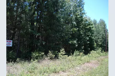 0001 Pelican Road, Shepherd, TX 77371 - Photo 2