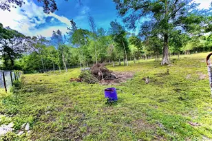 3658 Reaves Rd, Cleveland, TX 77328 - Photo 36