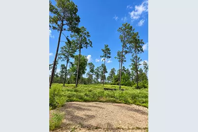 61 Reveille Road, Livingston, TX 77351 - Photo 2