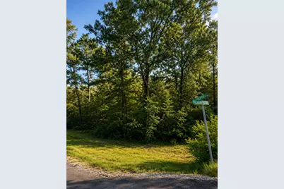 Tbd Hackberry Drive, Onalaska, TX 77360 - Photo 2