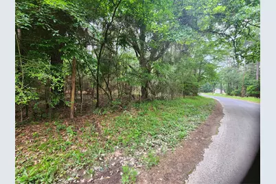 277 Long King, Livingston, TX 77351 - Photo 4