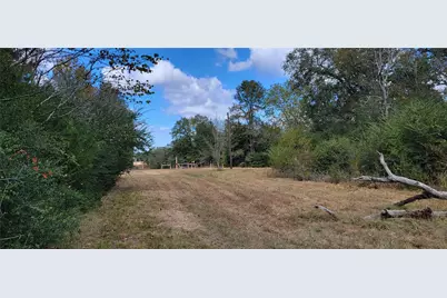 Pr. 1100 Road, Leona, TX 75850 - Photo 8