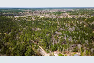 Tbd Tract 4 Triple Creek Loop, Livingston, TX 77351 - Photo 12