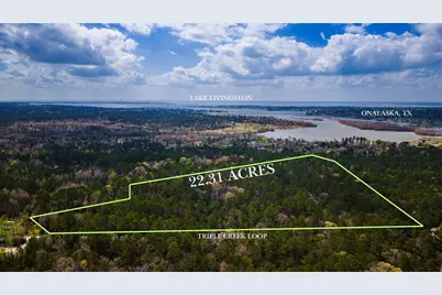 Tbd Tract 4 Triple Creek Loop, Livingston, TX 77351 - Photo 1