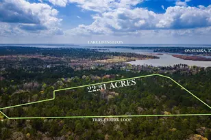 Tbd Tract 4 Triple Creek Loop, Livingston, TX 77351 - Photo 1