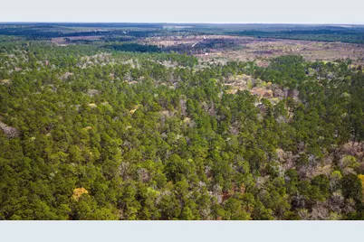 Tbd Tract 4 Triple Creek Loop, Livingston, TX 77351 - Photo 24
