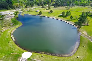 15661 Wood Grv Wy, Willis, TX 77378 - Photo 18