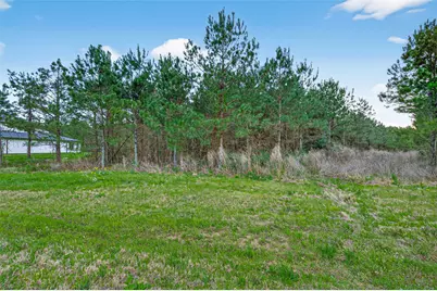 15661 Wood Grove Way, Willis, TX 77378 - Photo 12