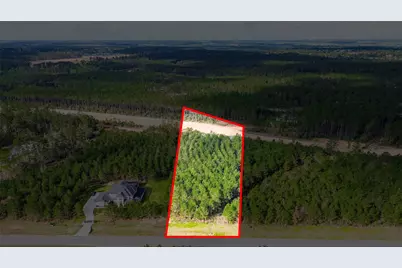 15661 Wood Grove Way, Willis, TX 77378 - Photo 4