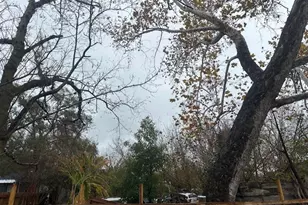 839 Fortune St, Houston, TX 77088 - Photo 6