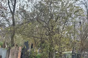 839 Fortune St, Houston, TX 77088 - Photo 2