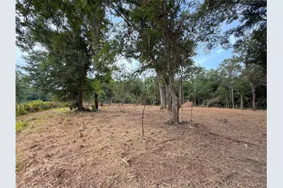 Lot 12A2 Cr 345, Brazoria, TX 77422 - Photo 4