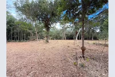Lot 12A2 Cr 345, Brazoria, TX 77422 - Photo 6