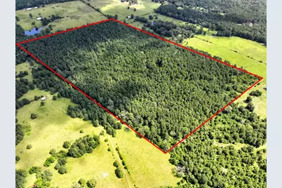 Tbd Cr 4120, Crockett, TX 75835 - Photo 12