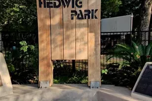 8947 Gaylord Dr, Houston, TX 77024 - Photo 22