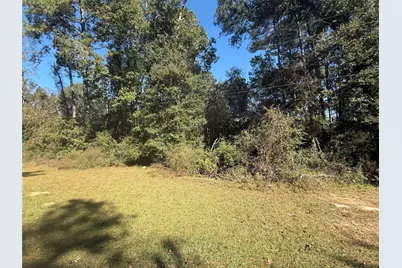 Tbd5 Lake Shore Drive, Conroe, TX 77303 - Photo 4