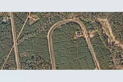 16270 Ridge Oak Road, Willis, TX 77378 - Photo 4