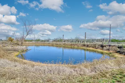 21234 Harrison Drive, Bedias, TX 77831 - Photo 4