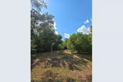 Tbd Bonham Ln, Willis, TX 77378 - Photo 6