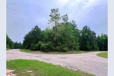 1-2-33 Dedication Trail, Huntsville, TX 77340 - Photo 2
