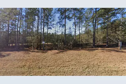 54 Coyote Run, New Waverly, TX 77358 - Photo 2