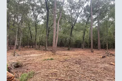 Tract B Mangum Road, Livingston, TX 77351 - Photo 1